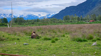 Alaska2026