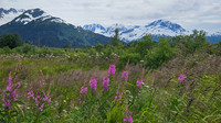 Alaska2026