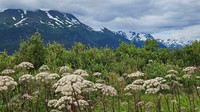 Alaska2026