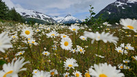Alaska2026