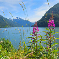 Alaska2026