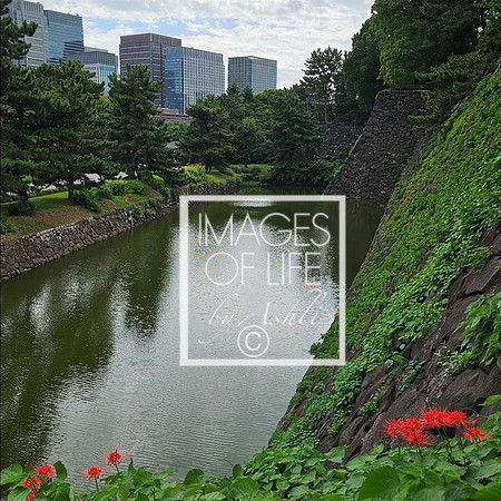 Tokyo2026