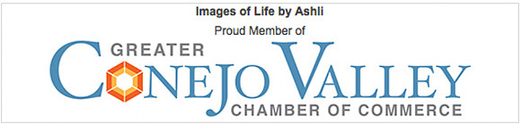 ChamberOfCommerce