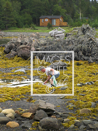 IMG_3352Newfoundland