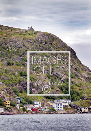 IMG_0069Newfoundland