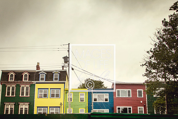 IMG_0083Newfoundland