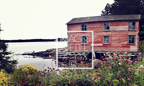IMG_3325Newfoundland
