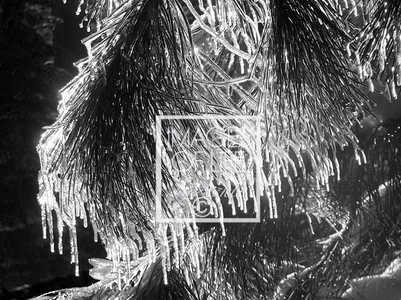 IMG_5892B&W