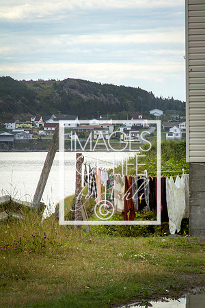 IMG_9901Newfoundland