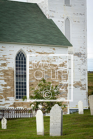 IMG_9903Newfoundland