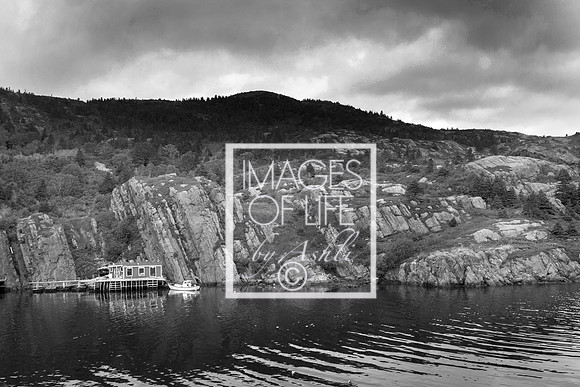 IMG_9995Newfoundland
