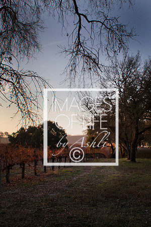 Napa