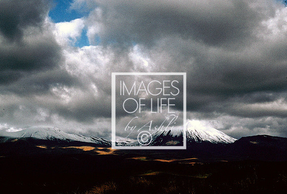 NewZealand