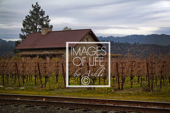 Napa